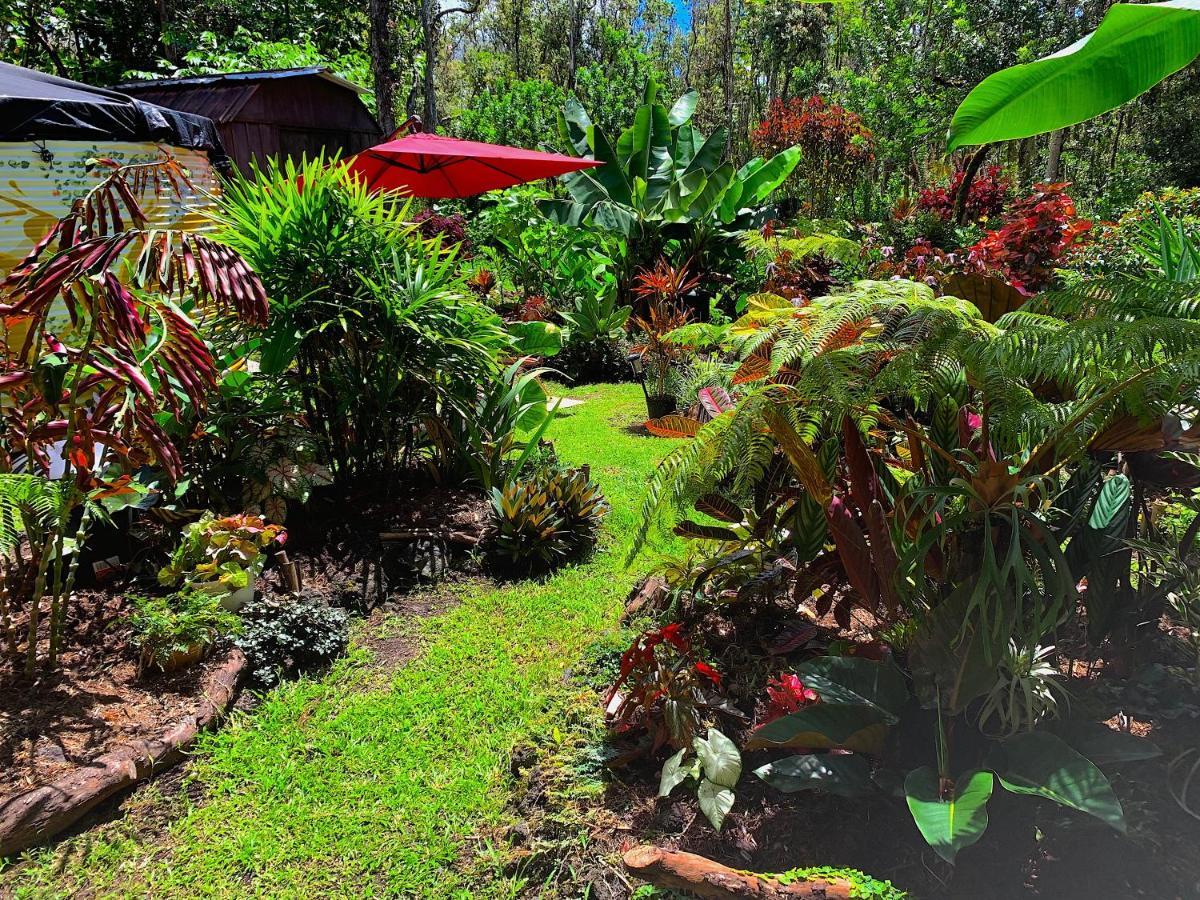Phoenix Garden Pahoa Zewnętrze zdjęcie