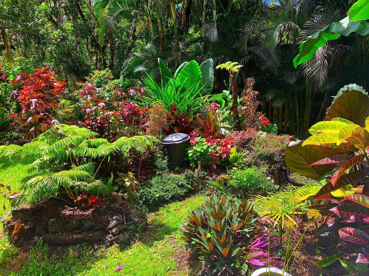 Phoenix Garden Pahoa Zewnętrze zdjęcie