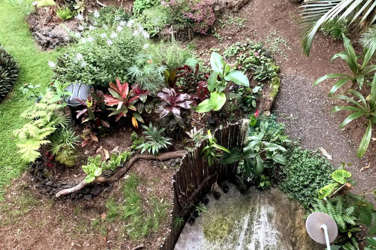 Phoenix Garden Pahoa Zewnętrze zdjęcie