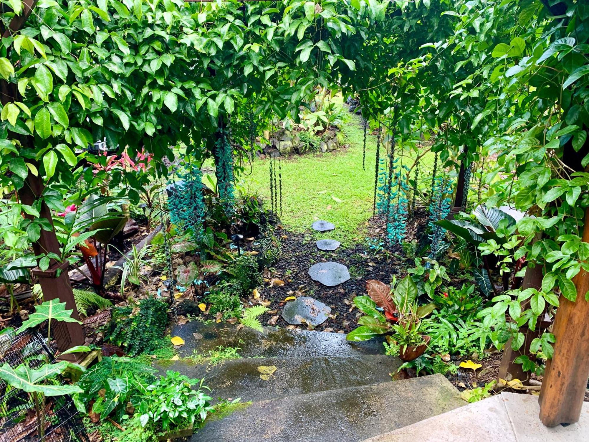Phoenix Garden Pahoa Zewnętrze zdjęcie